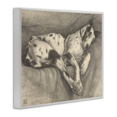 Sleeping Hound Drawing Framed Giclee, design by Bertha Van Hasselt