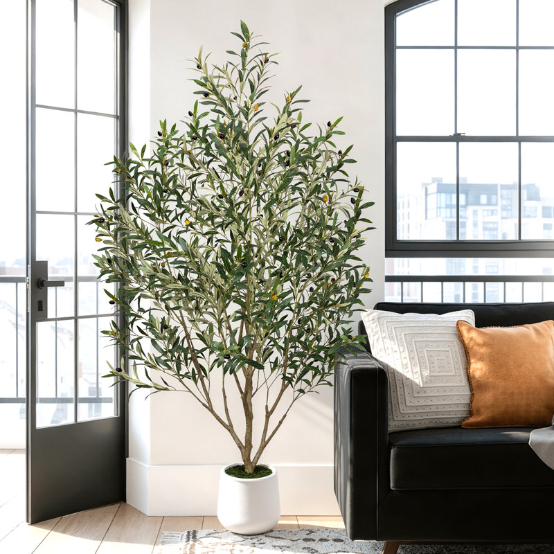 Arbre à olivier artificiel 72 po 6 pi avec oliviers réalistes, feuillage dense et luxueux, H 72 po x l 45 po x P 30 po