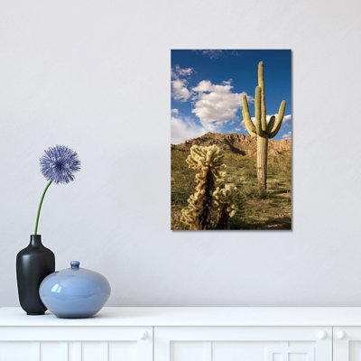Saguaro Cactus In Desert, Arizona by Tom Vezo - Wrapped Canvas Print