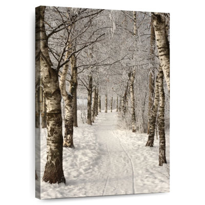 Alvord Birch Tree Lane