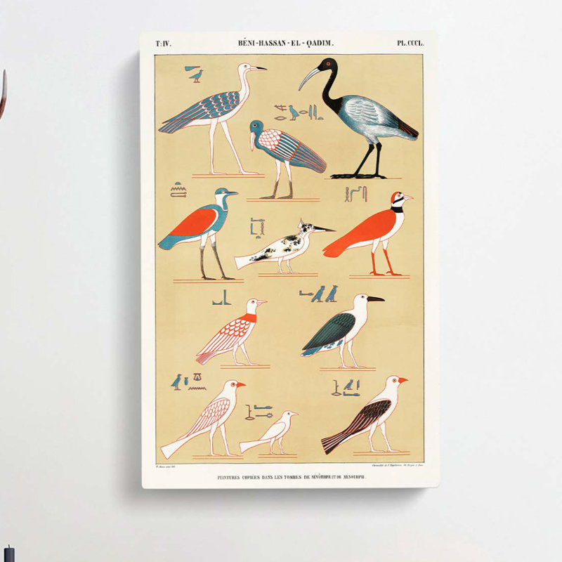 Birds by J.F. Champollion - Wrapped Canvas Painting, 91cm H x 60cm W x 3cm D