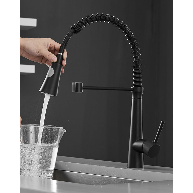 Robinet de cuisine rétractable à une main, Noir mat
