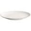 Opie Porcelain China Dinnerware - Service for 8