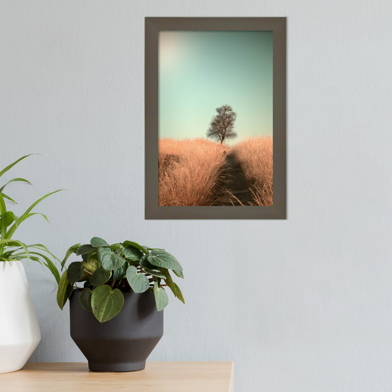 Grass And Path by Jaap Van Den, 9" W x 13" H, Gray