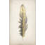 Gilded Feathers II (Gilded Gold) Print by Barclay Butera-26949848-26949842