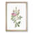 Oak Framed selected