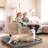 Memory Foam Dog Bed, Cooling Dog Beds Water-Resistant Pet Bed For Crate With Removable Washable Cover-1921151814
