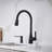 Atura Pull-Down Dual-Spray Bar Faucet-66477605