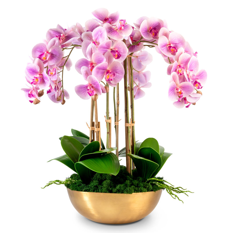 Abigail Gold Realtouch Orchid, Periwinkle