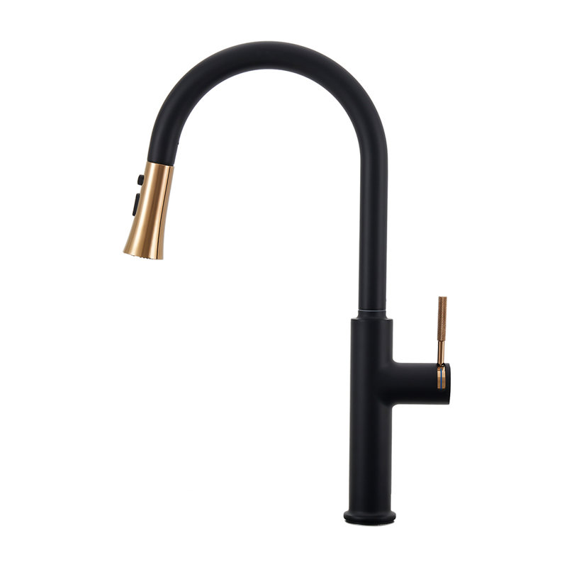 Belfry Kitchen Pull Out Kitchen Faucet