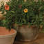 Almada Handmade Pot Planter