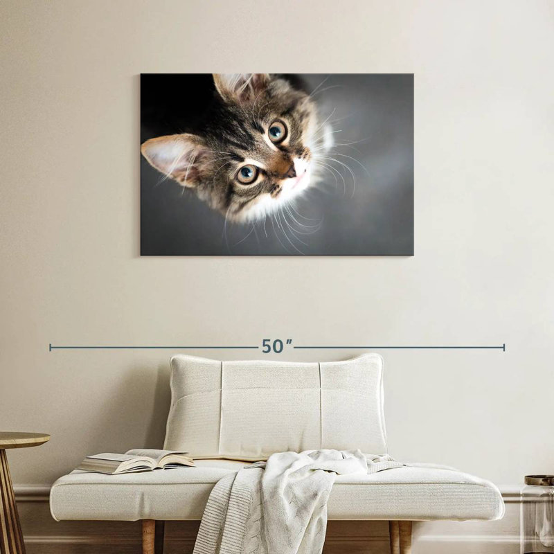 A Cat, 24" H x 36" W
