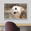 «Bird Bird Curious Owl Look» (Tyto Albahead), tête en gros plan sur toile-119598468-93629223-93629229