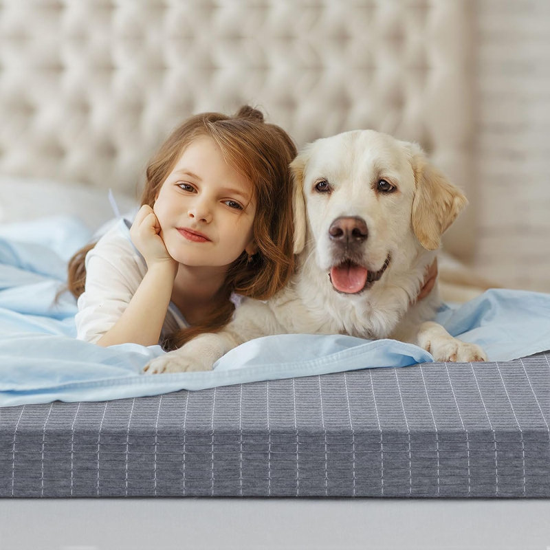 Surmatelas en mousse viscoélastique 3 po, Double