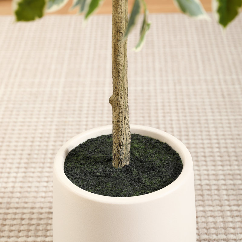 Adagio faux ficus avec pot de fleurs ovale blanc, H 60 po x l 20 po x P 20 po