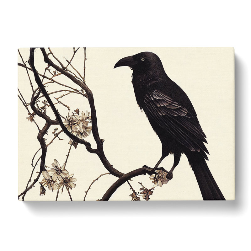 Terrific Crow Bird - Wrapped Canvas Print, 35cm H x 50cm W x 3cm D