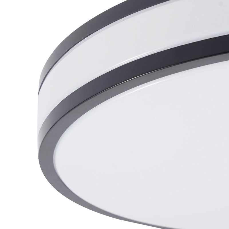 3.5x15" Acrylic LED Ceiling Lamp 