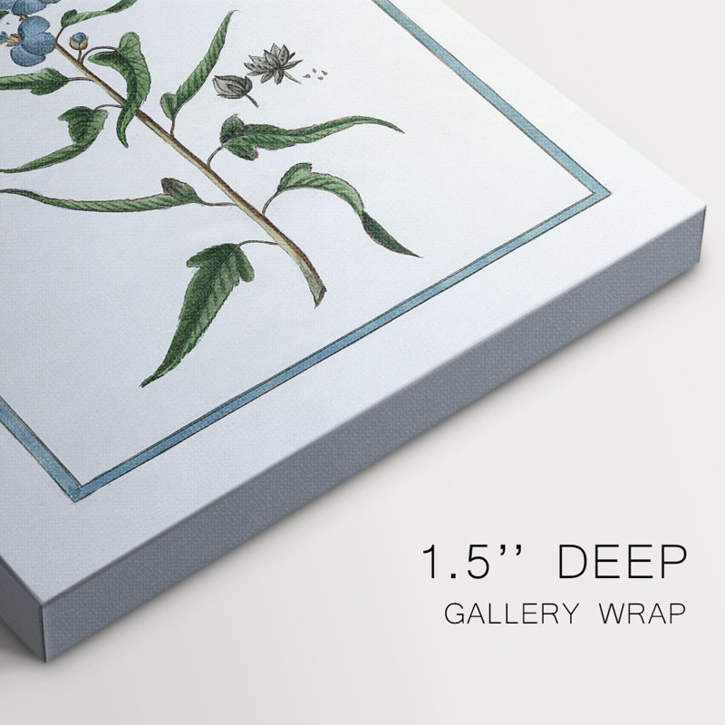 Toile tendue Botanical I-Premium Gallery - prête à être accrochée, H 48 po x l 32 po