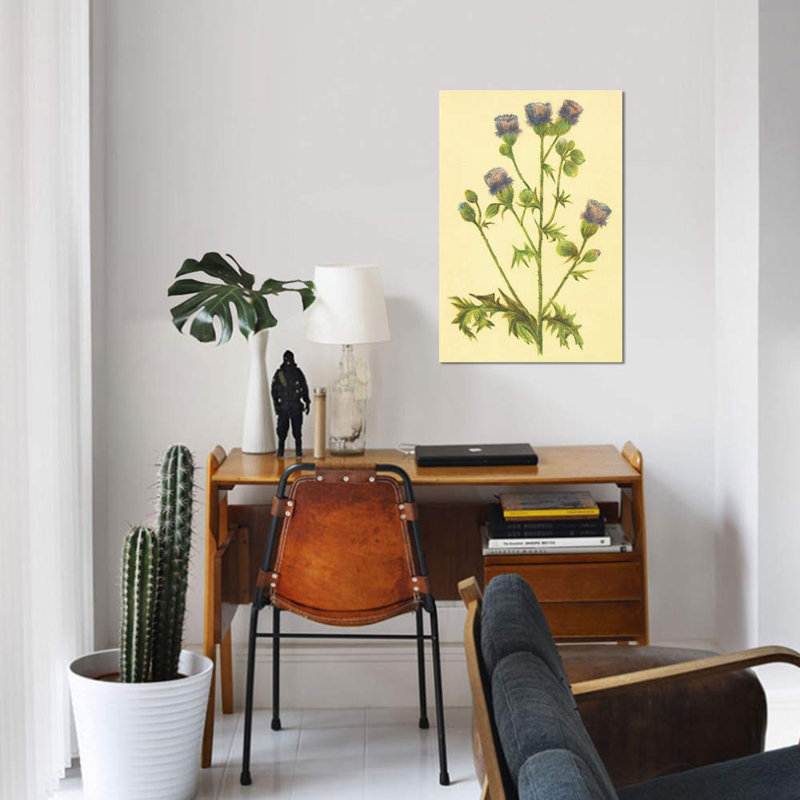 Thistle par PI Collection - reproduction sur toile tendue sur châssis, H 12 po x l 8 po x P 0,75 po, Pas de tapis