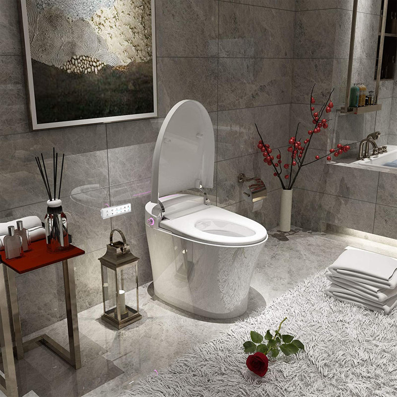 Toilette bidet allongée à double chasse