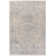 Jazive Oriental Indoor Rug
