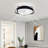20in Ceiling Fan with Light