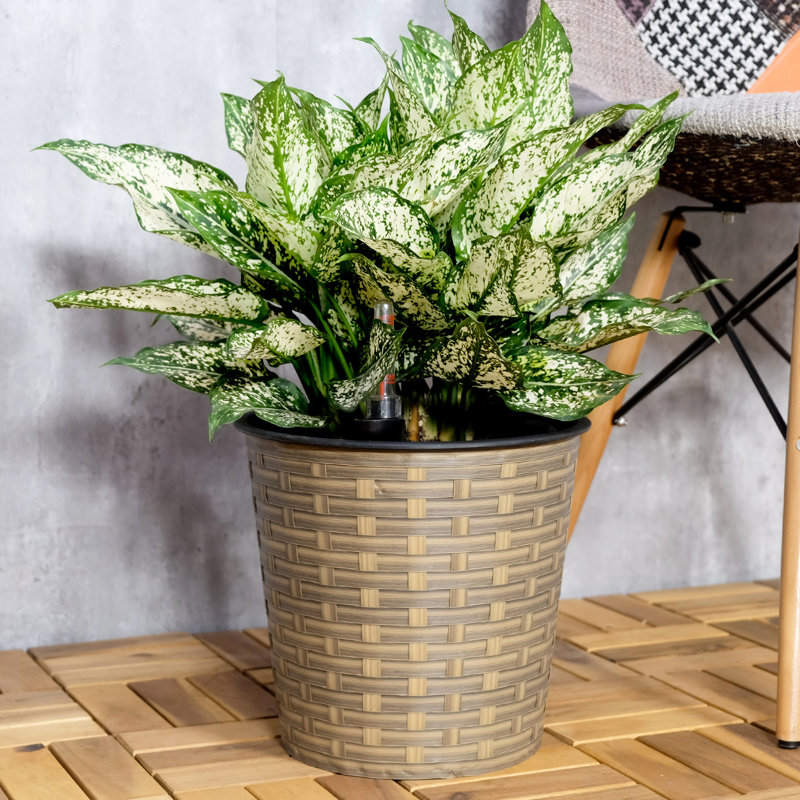 13.4" Self-Watering Planter - Indoor Outdoor Natural Look Frost Quick And Easy Assembly Decorative Use Appearance, Beige