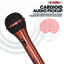 Microphone à 5 kores XLR 