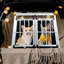 Cage de transport pour chiot en aluminium