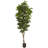 Fig Artificial Tree
