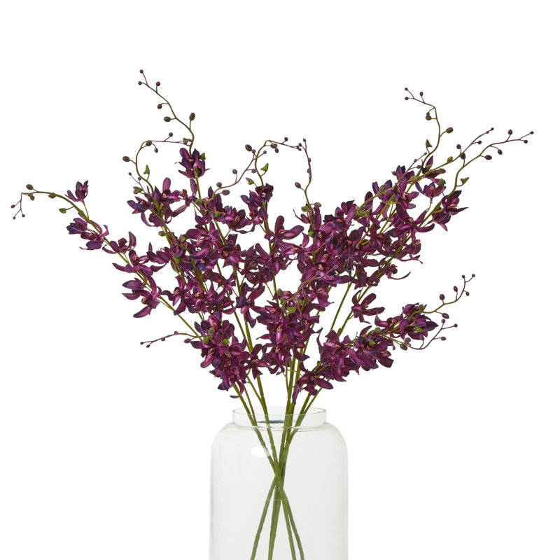 Anastasija Arrangement, Purple