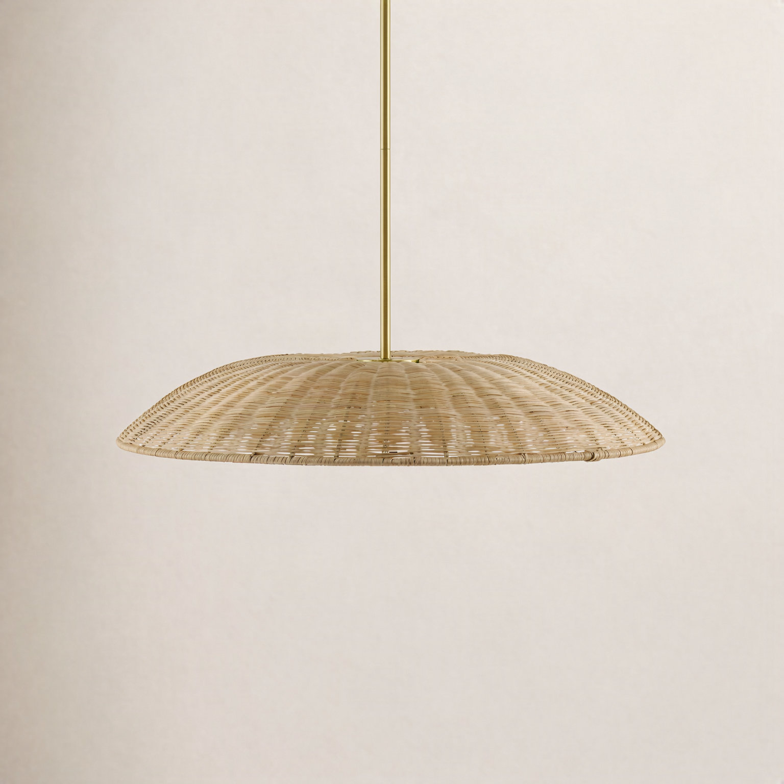 Single Light Pendant