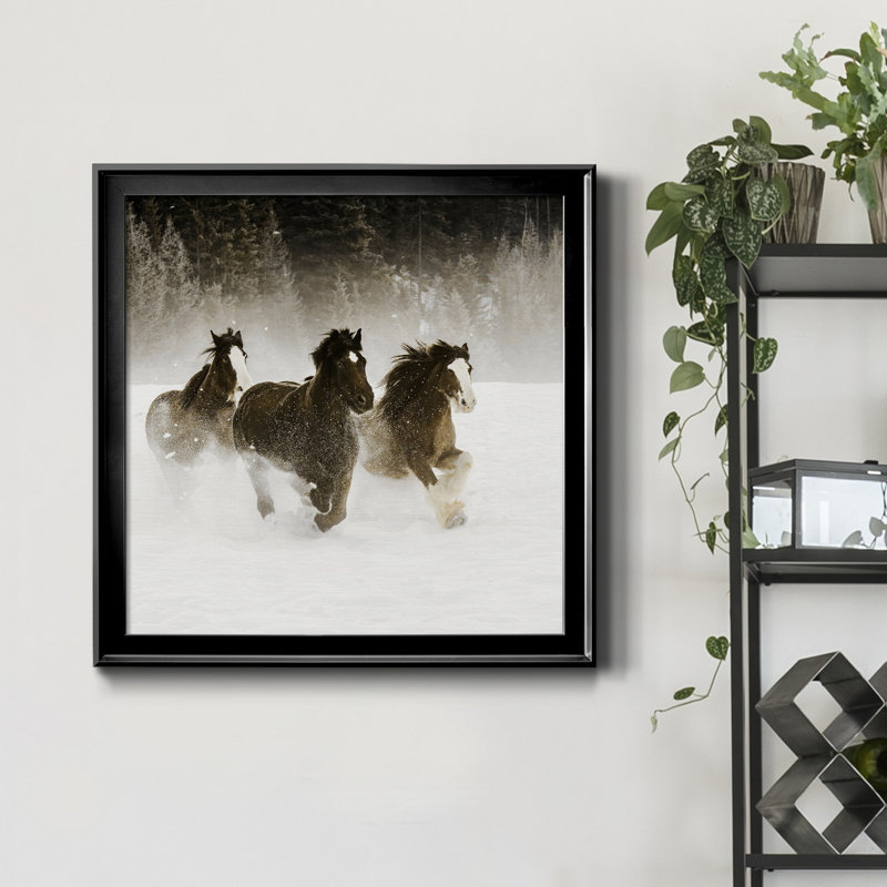Winter Roundup II - photographie encadrée sur toile, Cadre noir, H 17,5 po x l 17,5 po x P 1,5 po