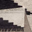 Tapis noir et ivoire moderne
