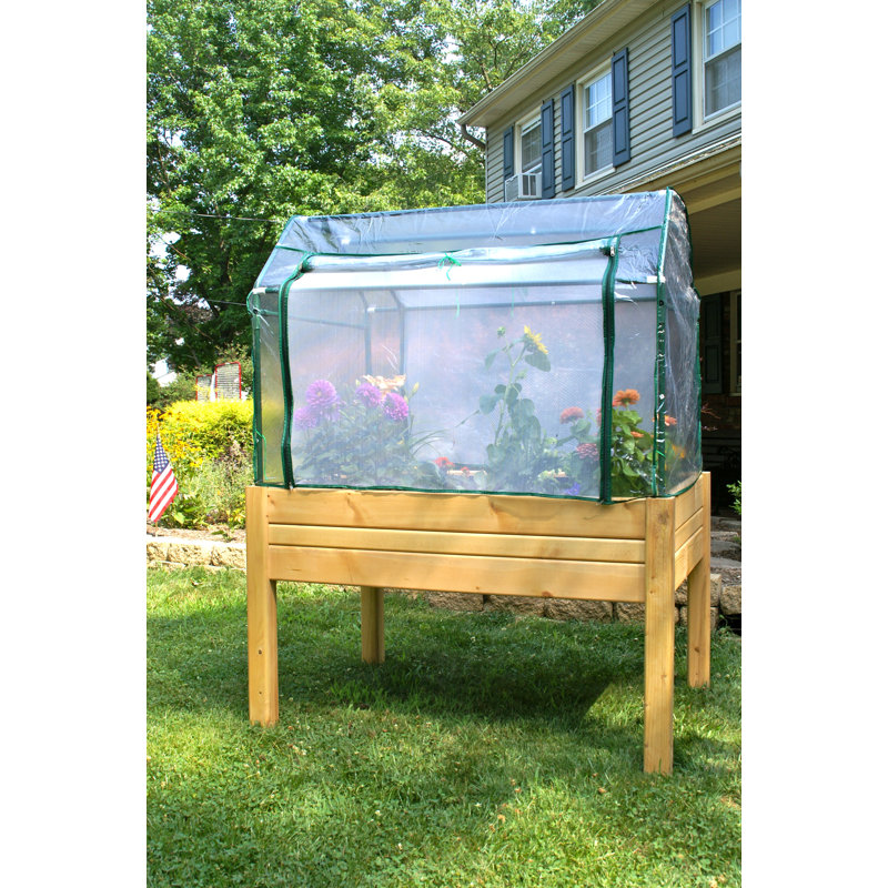 Glendive 4 Ft. W x 3 Ft. D Mini Greenhouse with Enclosure