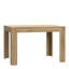 Stepheno Extendable Dining Table