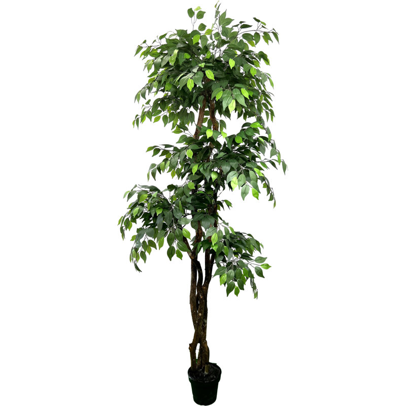 Hand-Made Primrue Giant 6.5'' Artificial Ficus Tree