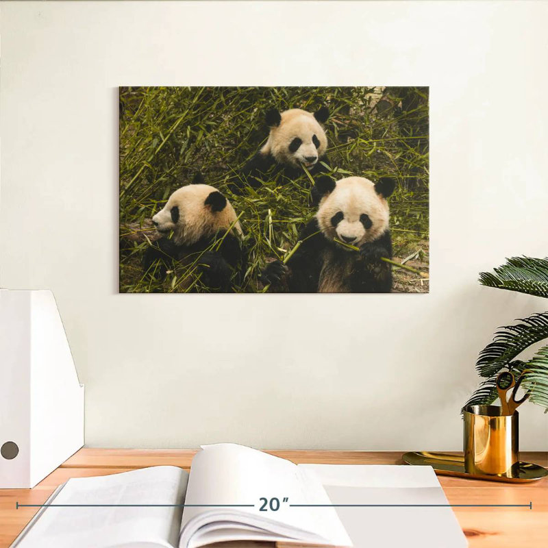 Trois Pandas affamés, H 8 po x l 12 po