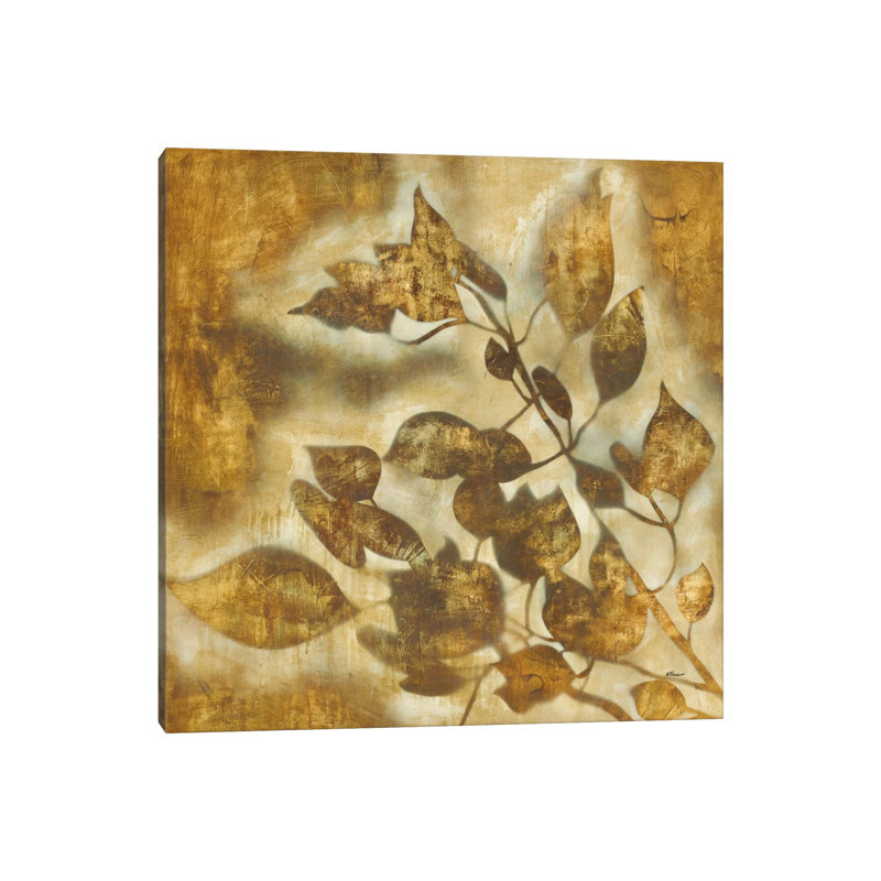 Organic Harmony II by Randy Hibberd - Wrapped Canvas Print, 66.04 cm H x 66.04 cm W x 1.91 cm D
