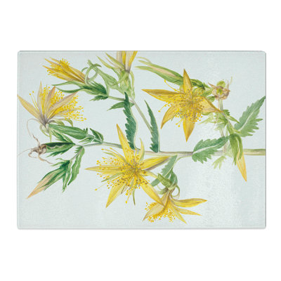 Blazing Star by Mary Vaux Walcott Chopping Board