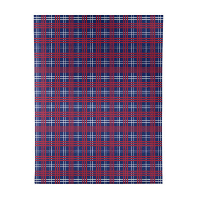 Plaid Indoor Rug