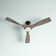 Ferland 60'' Ceiling Fan with LED Lights