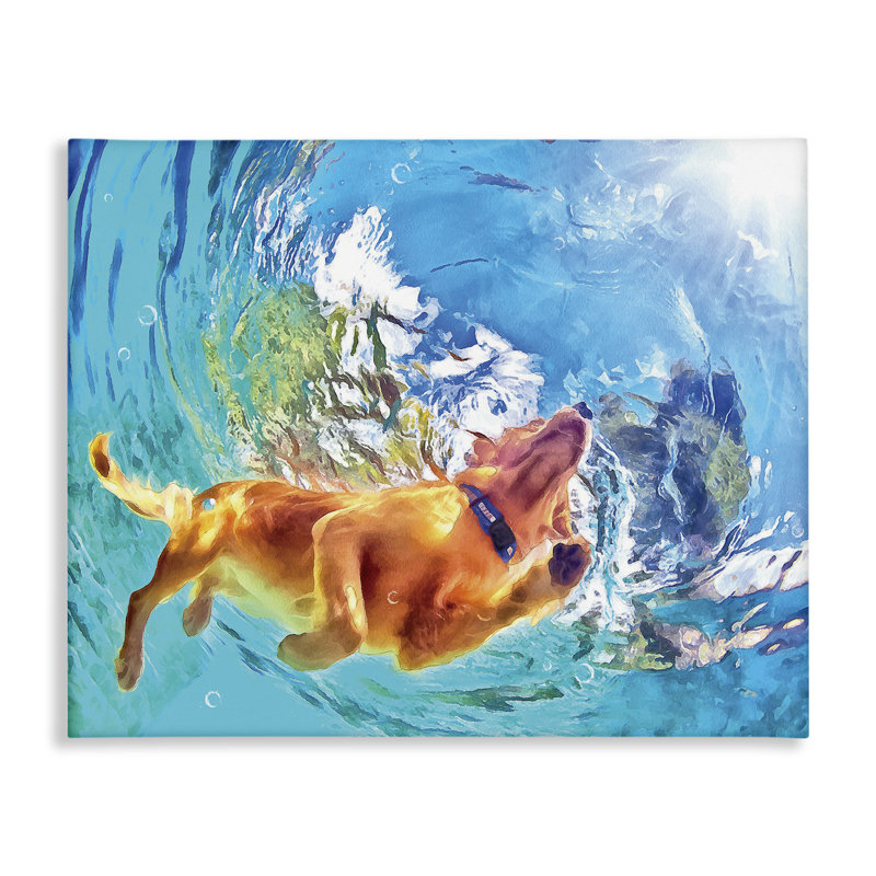 Art sous-marin de chien nageant sous l'eau par Masey St. Studios, H 36 po x l 48 po