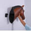 Statue tête de cheval-368923049