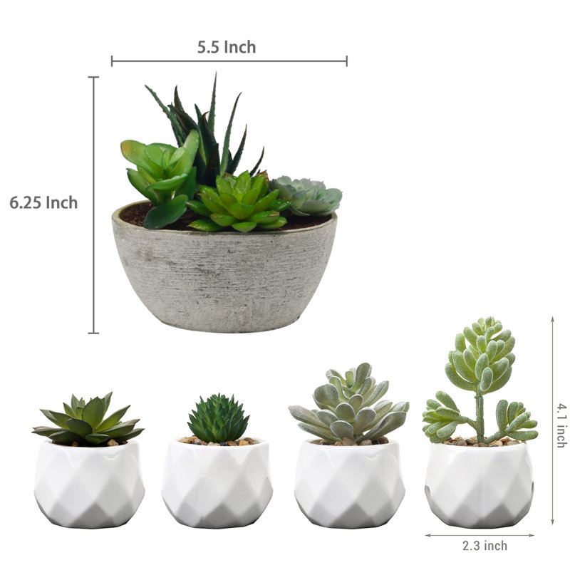 Faux Succulent Plant in Pot