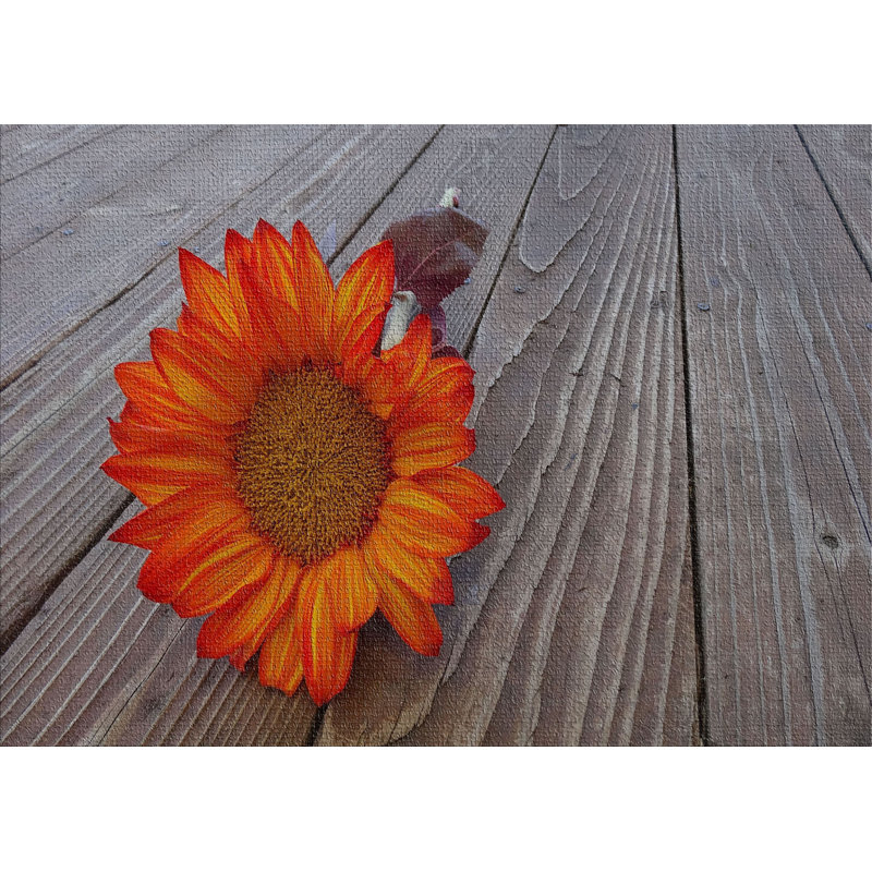 Performance Cotton Indoor Rug, Rectangle 5' x 7'