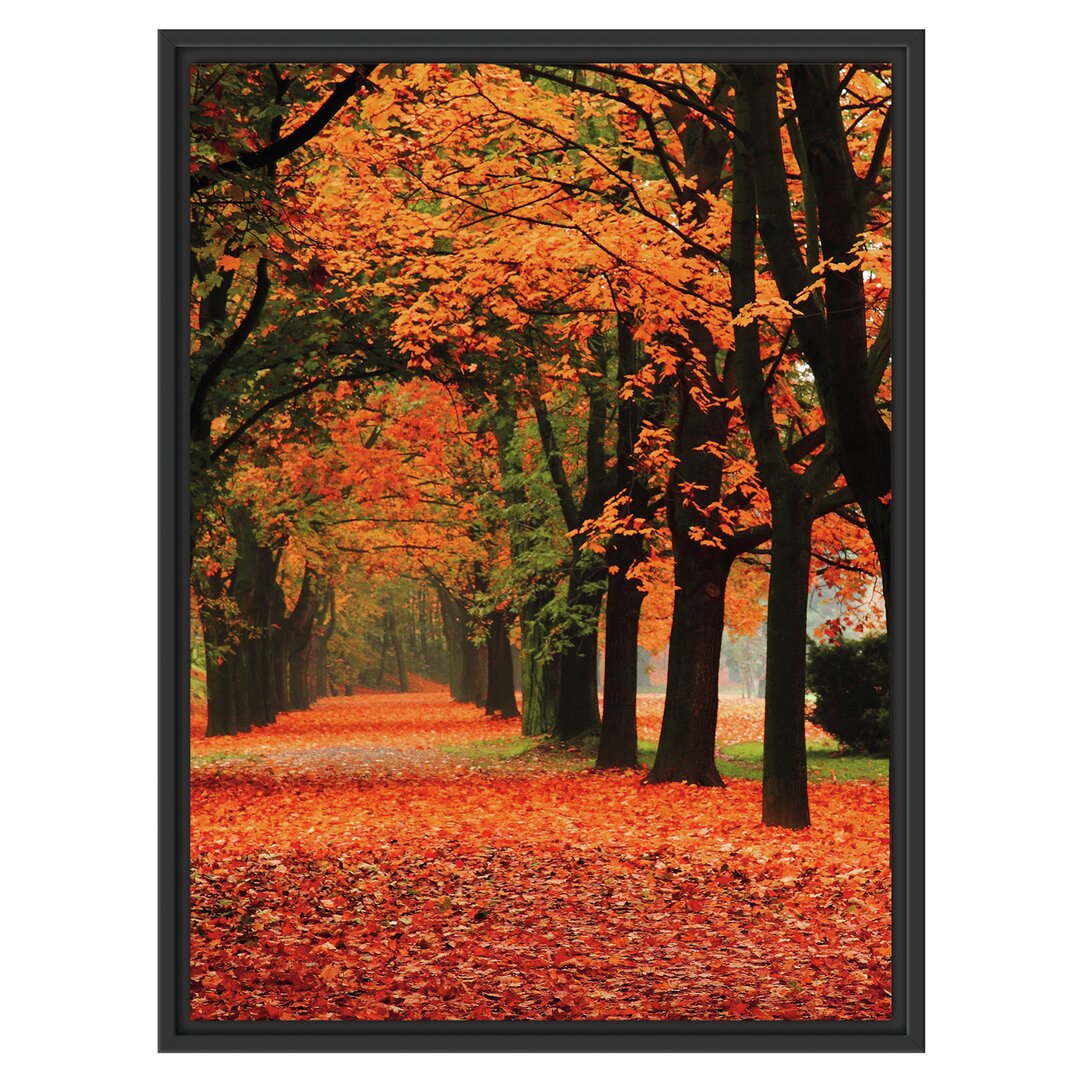 Gerahmtes Wandbild BaumalleeHerbst