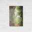 «Sprouting Ginkgo III» par Debra Van Swearingen-175410444