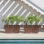 Pure Series Midori Planter-775604682-695504407-775604684