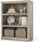 Patrick Toy Storage Bookcase-649437330-616606791
